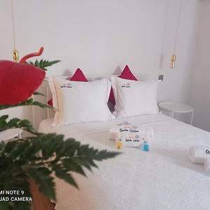 Suite con Cama King